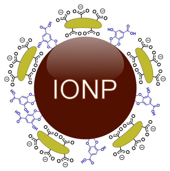 https://cdn.ncbi.nlm.nih.gov/pmc/blobs/a7c1/9268471/b7fabeb9e2a4/molecules-27-03970-g001.jpg
