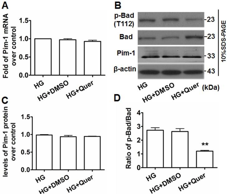 https://cdn.ncbi.nlm.nih.gov/pmc/blobs/a7c2/5687607/222003bf3eb0/oncotarget-08-88320-g005.jpg