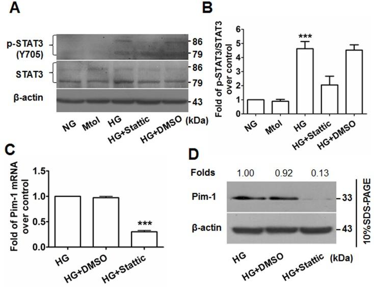 https://cdn.ncbi.nlm.nih.gov/pmc/blobs/a7c2/5687607/437718087502/oncotarget-08-88320-g006.jpg