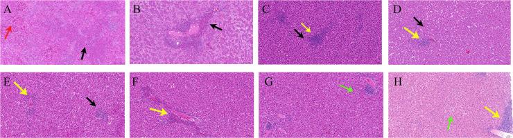 https://cdn.ncbi.nlm.nih.gov/pmc/blobs/a7c5/11792478/24ae6e949d44/spectrum.01338-24.f002.jpg