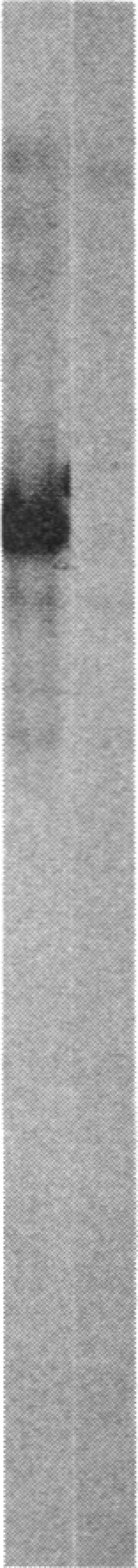 https://cdn.ncbi.nlm.nih.gov/pmc/blobs/a7c7/323179/da933bdc5537/pnas00310-0305-a.jpg
