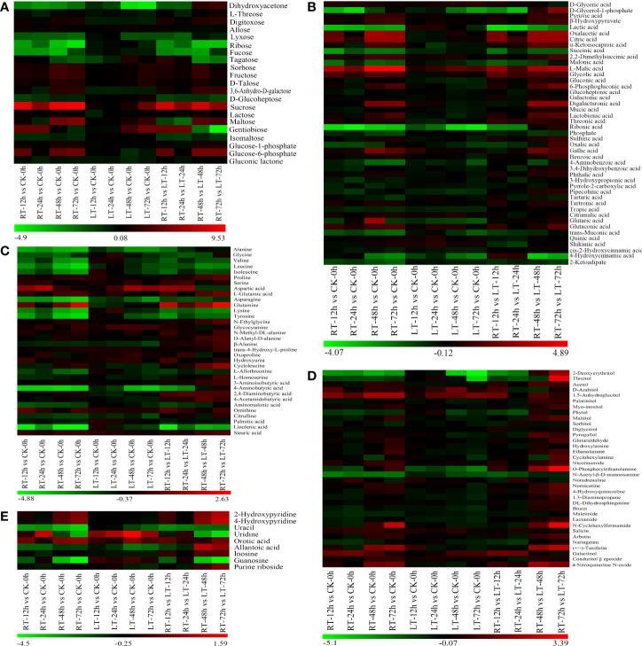 https://cdn.ncbi.nlm.nih.gov/pmc/blobs/a7c9/10067724/daecce0f030e/fpls-14-1142840-g005.jpg