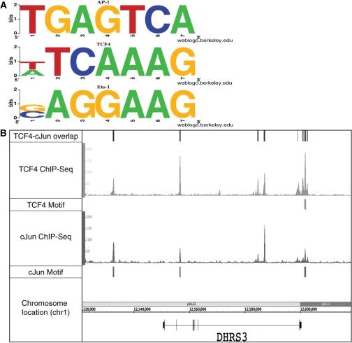 https://cdn.ncbi.nlm.nih.gov/pmc/blobs/a7c9/2817454/253b13517fa0/gkp1012f9.jpg