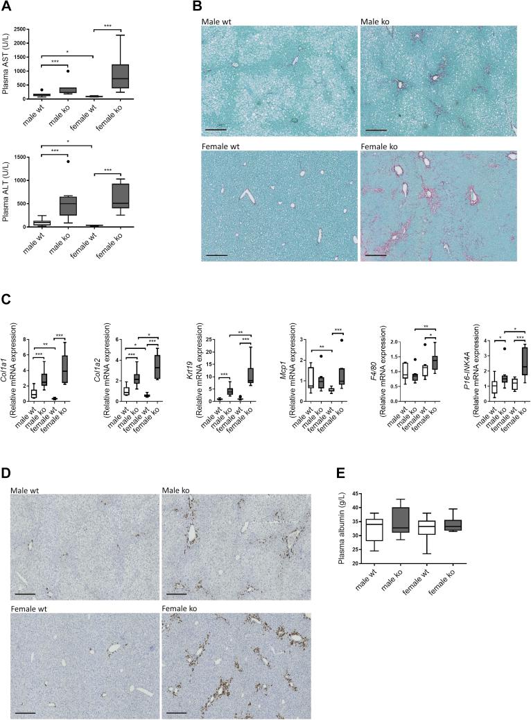 https://cdn.ncbi.nlm.nih.gov/pmc/blobs/a7ca/8596750/c9a5ea0acc5f/gr5.jpg