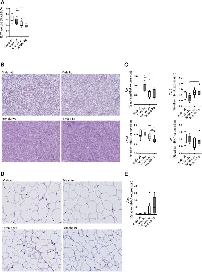 https://cdn.ncbi.nlm.nih.gov/pmc/blobs/a7ca/8596750/dc268c0b1d3c/gr6.jpg