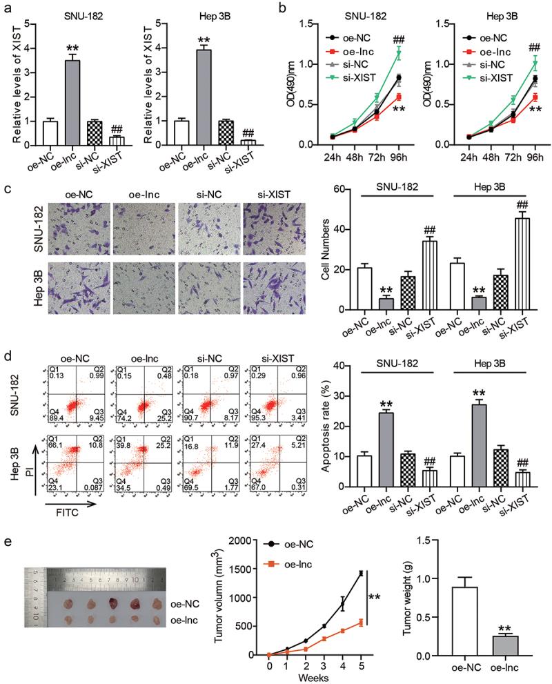 https://cdn.ncbi.nlm.nih.gov/pmc/blobs/a7ca/9275909/7ec6dac18587/KBIE_A_2086382_F0002_OC.jpg
