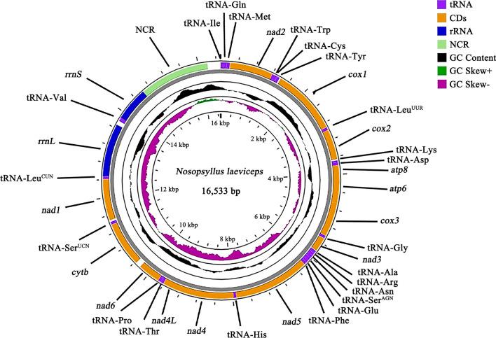 https://cdn.ncbi.nlm.nih.gov/pmc/blobs/a7cb/11165799/1ec9557ce42e/13071_2024_6329_Fig1_HTML.jpg