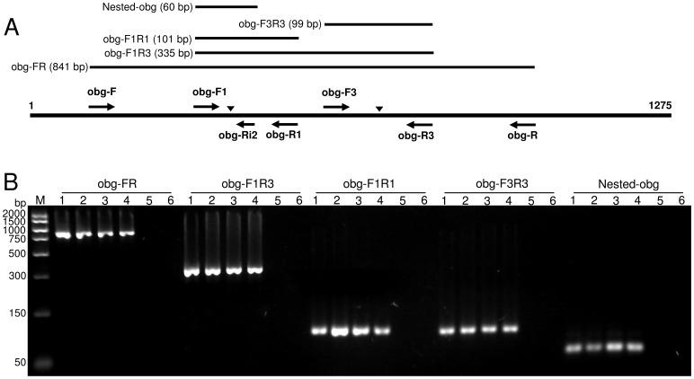 https://cdn.ncbi.nlm.nih.gov/pmc/blobs/a7cb/3958494/e664b32dfbec/pone.0092215.g001.jpg