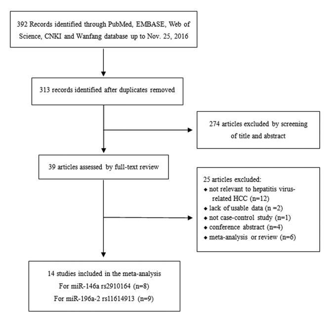 https://cdn.ncbi.nlm.nih.gov/pmc/blobs/a7cc/5361670/9f239c2a15e1/aging-09-381-g005.jpg