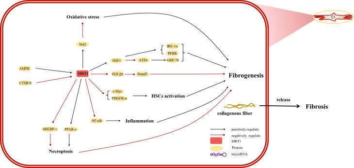https://cdn.ncbi.nlm.nih.gov/pmc/blobs/a7cd/10984179/5176b74e389e/peerj-12-17094-g004.jpg