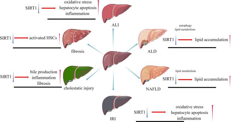 https://cdn.ncbi.nlm.nih.gov/pmc/blobs/a7cd/10984179/8d9d78b09592/peerj-12-17094-g002.jpg