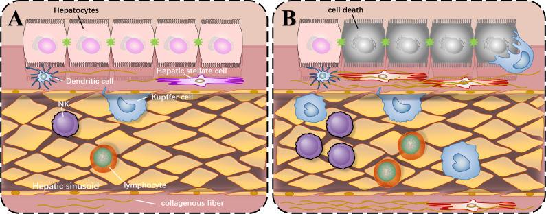 https://cdn.ncbi.nlm.nih.gov/pmc/blobs/a7cd/10984179/a069e85197cb/peerj-12-17094-g001.jpg
