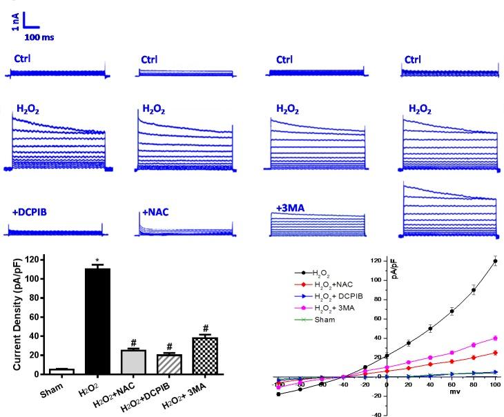 https://cdn.ncbi.nlm.nih.gov/pmc/blobs/a7cd/5129937/a57f4009e693/oncotarget-07-39345-g006.jpg