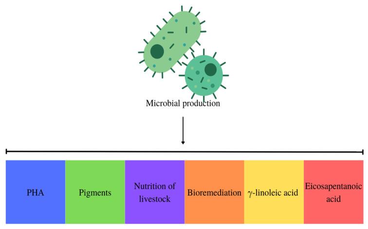 https://cdn.ncbi.nlm.nih.gov/pmc/blobs/a7ce/10675258/0ec56af7d898/polymers-15-04405-g005.jpg