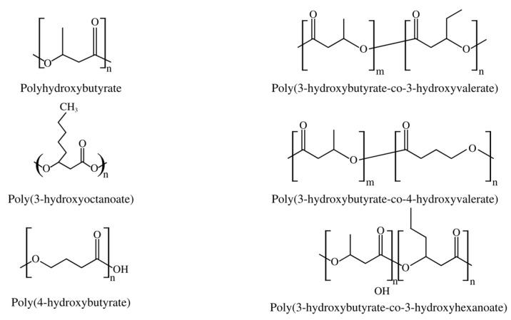 https://cdn.ncbi.nlm.nih.gov/pmc/blobs/a7ce/10675258/596f6ede34cc/polymers-15-04405-g002.jpg