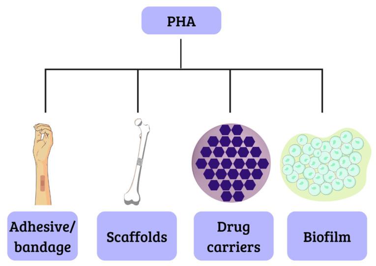 https://cdn.ncbi.nlm.nih.gov/pmc/blobs/a7ce/10675258/f64a179cbe73/polymers-15-04405-g004.jpg