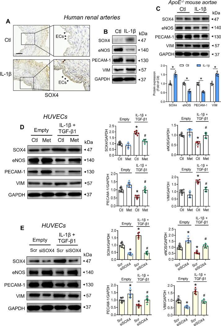 https://cdn.ncbi.nlm.nih.gov/pmc/blobs/a7d3/9811326/53c0a5a5d3ed/gr6.jpg