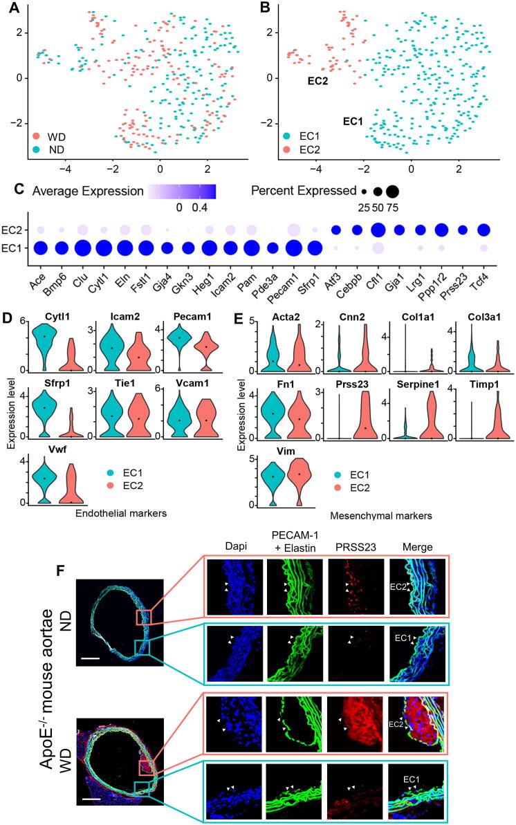 https://cdn.ncbi.nlm.nih.gov/pmc/blobs/a7d3/9811326/64a7945de573/gr3.jpg