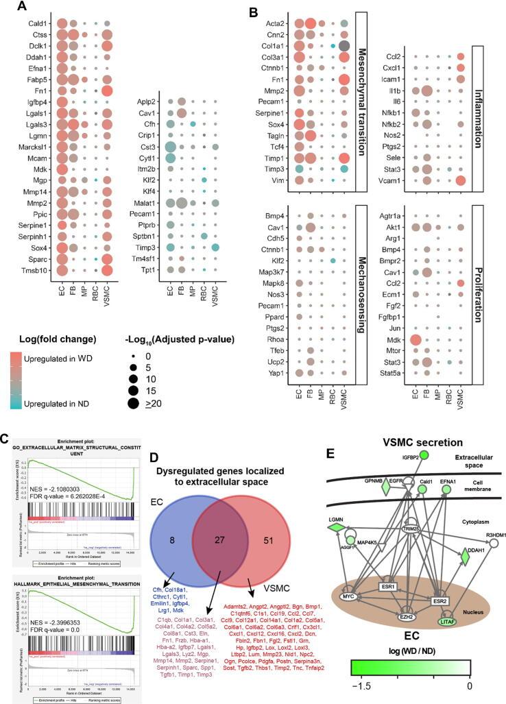 https://cdn.ncbi.nlm.nih.gov/pmc/blobs/a7d3/9811326/7b958b8fb58a/gr2.jpg