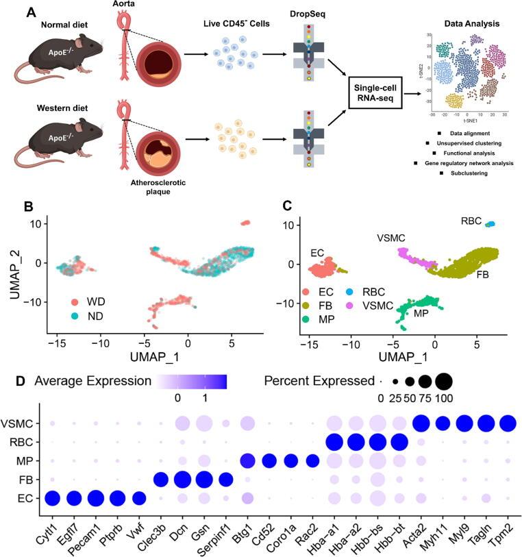 https://cdn.ncbi.nlm.nih.gov/pmc/blobs/a7d3/9811326/d27a6a4dc488/gr1.jpg