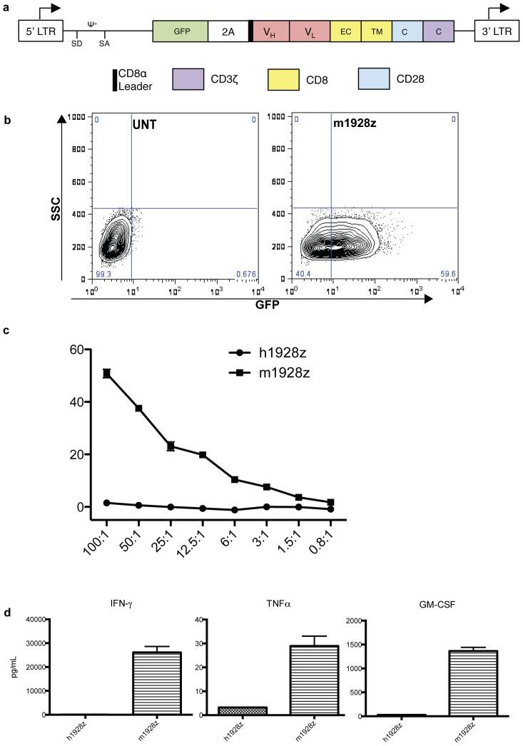 https://cdn.ncbi.nlm.nih.gov/pmc/blobs/a7d4/3621858/4afc199560ff/pone.0061338.g003.jpg