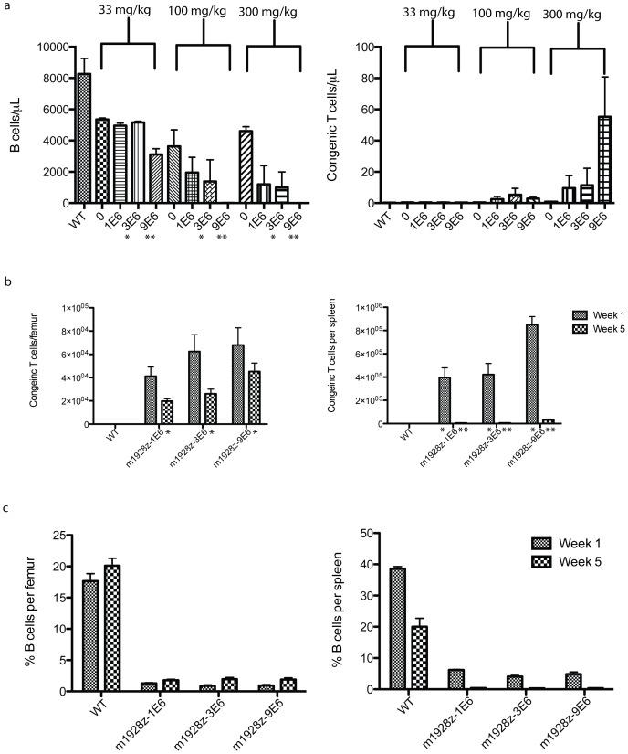 https://cdn.ncbi.nlm.nih.gov/pmc/blobs/a7d4/3621858/90cecbab0d52/pone.0061338.g006.jpg