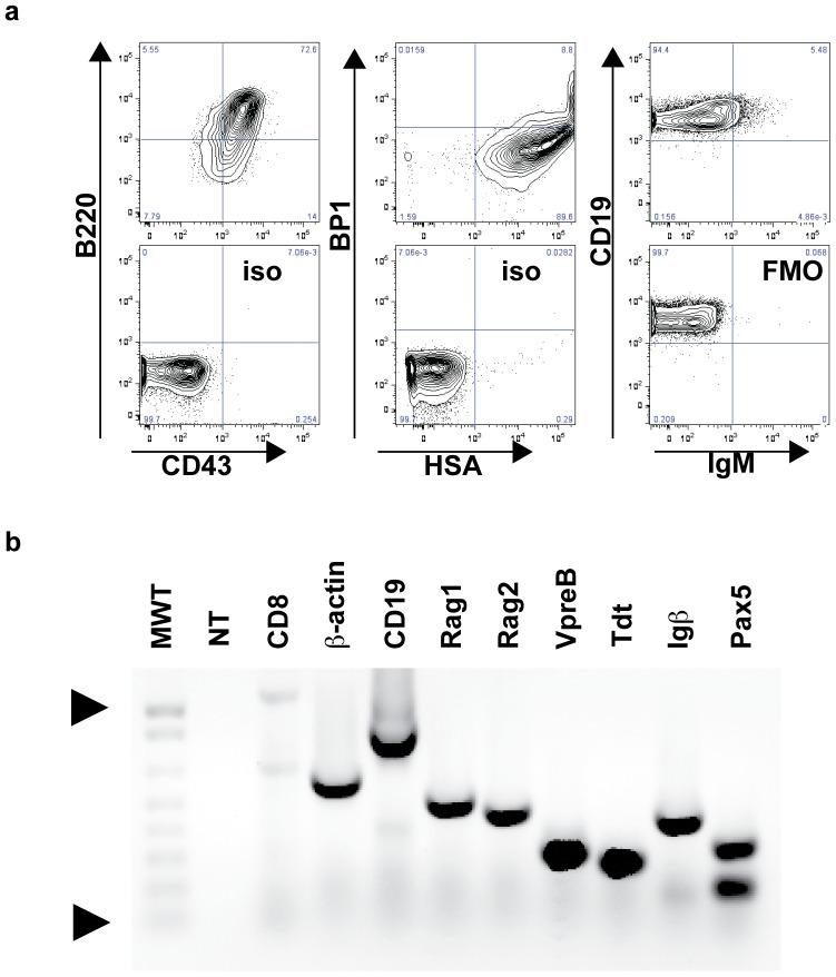 https://cdn.ncbi.nlm.nih.gov/pmc/blobs/a7d4/3621858/baf0db20c34e/pone.0061338.g001.jpg