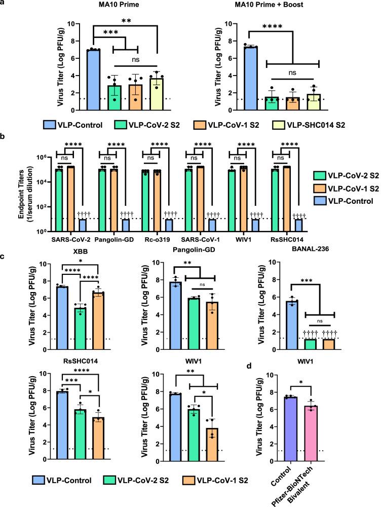 https://cdn.ncbi.nlm.nih.gov/pmc/blobs/a7d7/11706982/3d5850de479c/41467_2025_55824_Fig3_HTML.jpg