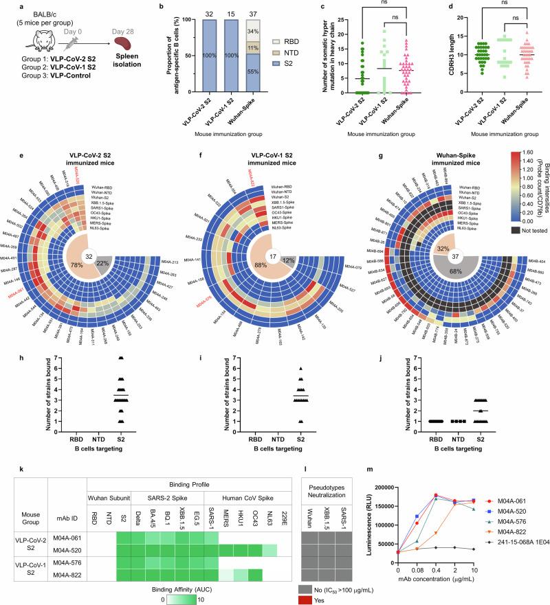 https://cdn.ncbi.nlm.nih.gov/pmc/blobs/a7d7/11706982/460f7b41cb6b/41467_2025_55824_Fig5_HTML.jpg