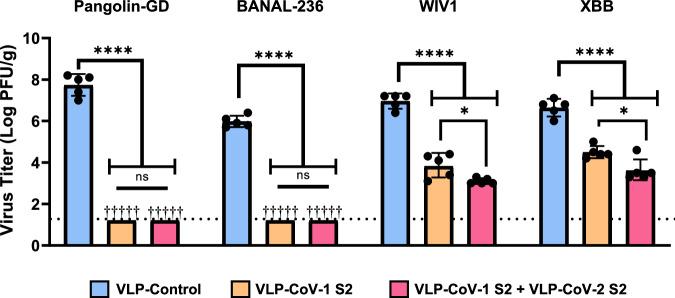 https://cdn.ncbi.nlm.nih.gov/pmc/blobs/a7d7/11706982/5c05eaff6335/41467_2025_55824_Fig6_HTML.jpg