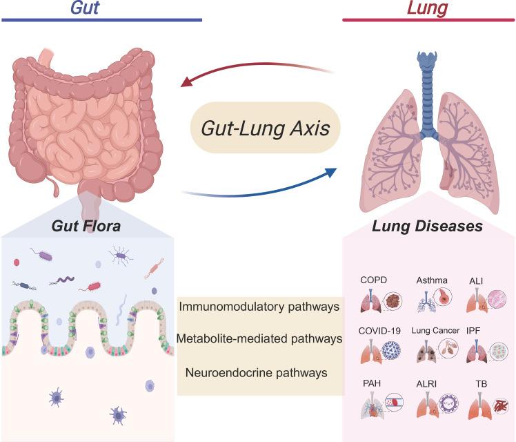 https://cdn.ncbi.nlm.nih.gov/pmc/blobs/a7d7/12375620/6464a5ff15a6/fcimb-15-1629005-g001.jpg