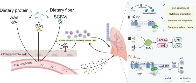 https://cdn.ncbi.nlm.nih.gov/pmc/blobs/a7d7/12375620/ac22cb356606/fcimb-15-1629005-g002.jpg