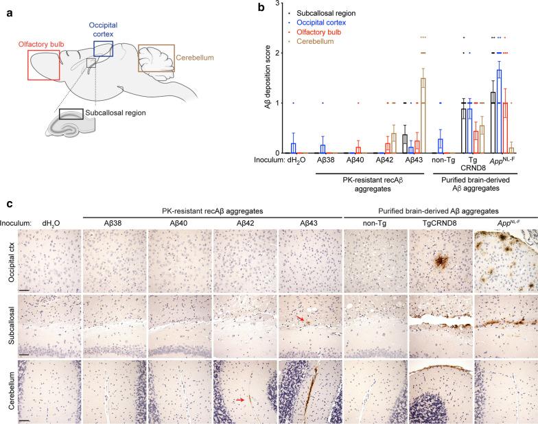 https://cdn.ncbi.nlm.nih.gov/pmc/blobs/a7d7/8112054/8b34757635ea/40478_2021_1187_Fig5_HTML.jpg