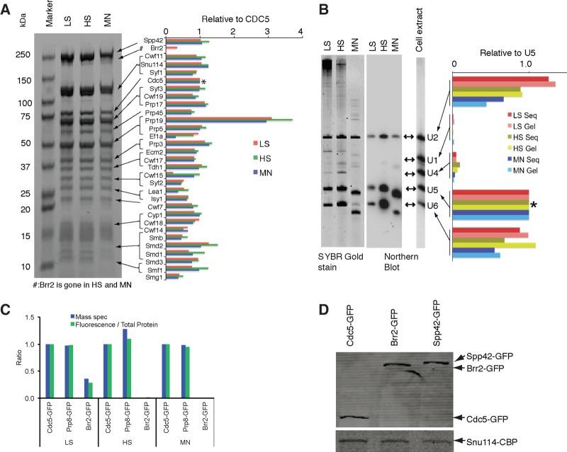 https://cdn.ncbi.nlm.nih.gov/pmc/blobs/a7db/3923126/5d614f2a490e/308fig2.jpg