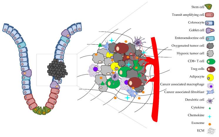 https://cdn.ncbi.nlm.nih.gov/pmc/blobs/a7dd/8230539/5777a32d65bc/ijms-22-06262-g004.jpg
