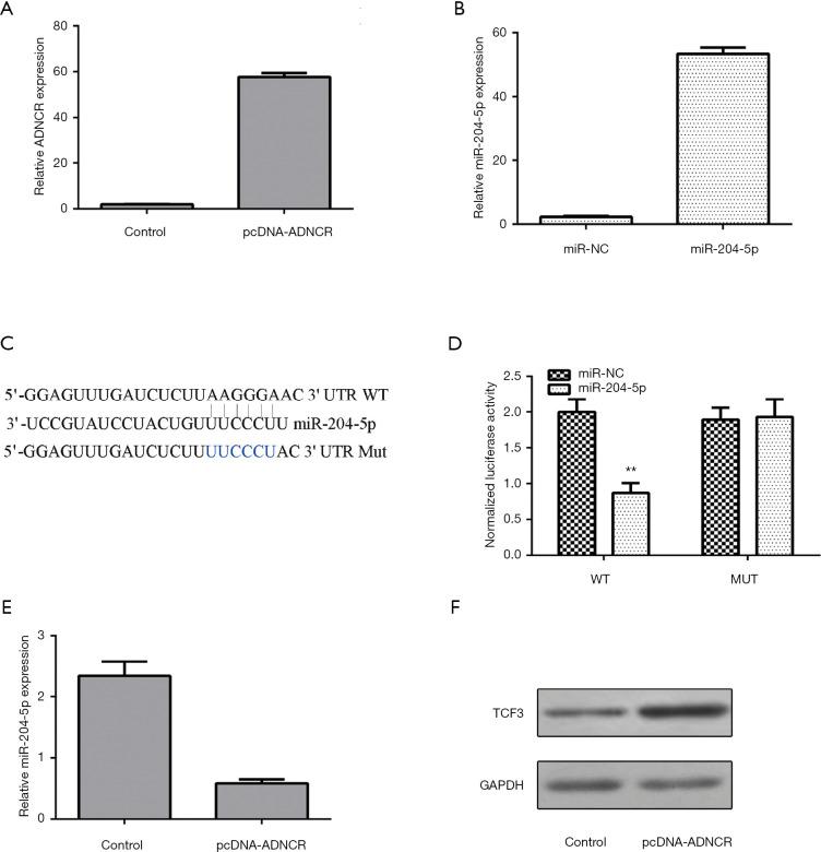 https://cdn.ncbi.nlm.nih.gov/pmc/blobs/a7e0/7475390/c6d2046c3572/atm-08-15-927-f3.jpg