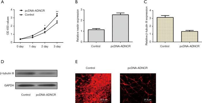 https://cdn.ncbi.nlm.nih.gov/pmc/blobs/a7e0/7475390/fccd1f37080f/atm-08-15-927-f4.jpg