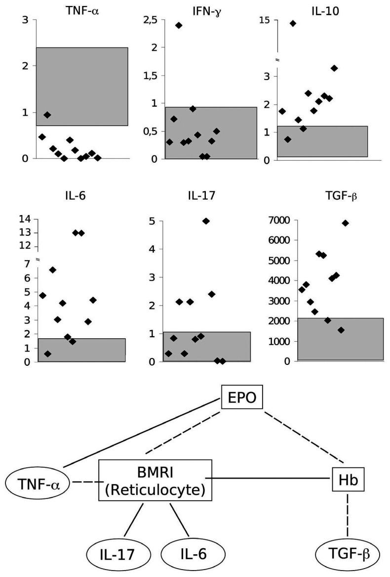https://cdn.ncbi.nlm.nih.gov/pmc/blobs/a7e1/7849557/d00ed0b4e755/106622.fig2.jpg