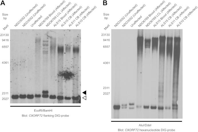 https://cdn.ncbi.nlm.nih.gov/pmc/blobs/a7e2/3988882/300d489fb4fd/gr2.jpg