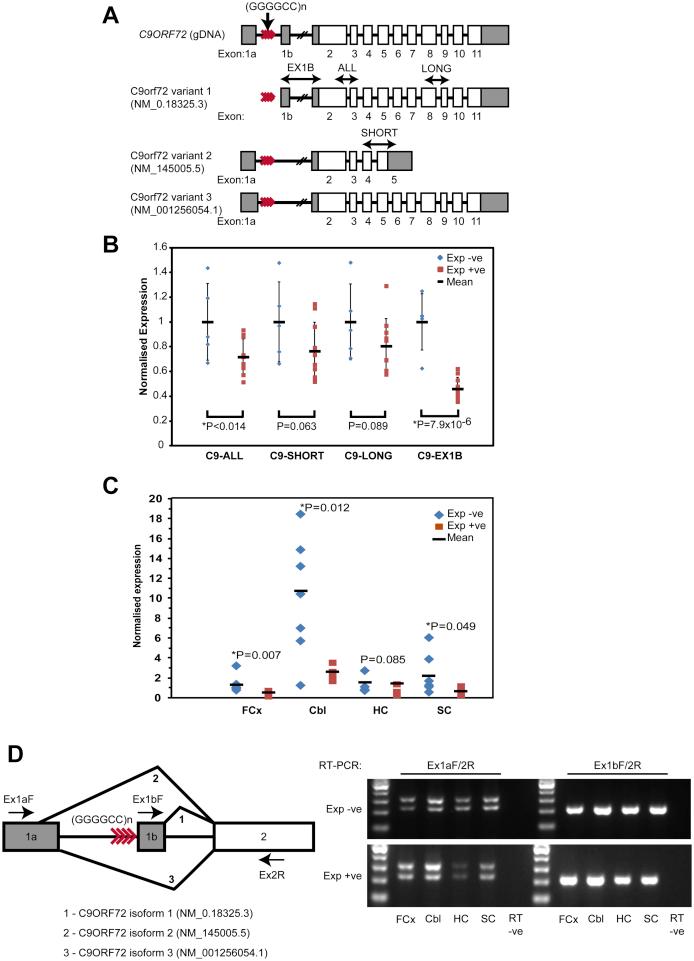 https://cdn.ncbi.nlm.nih.gov/pmc/blobs/a7e2/3988882/6abbe0bac85e/gr3.jpg