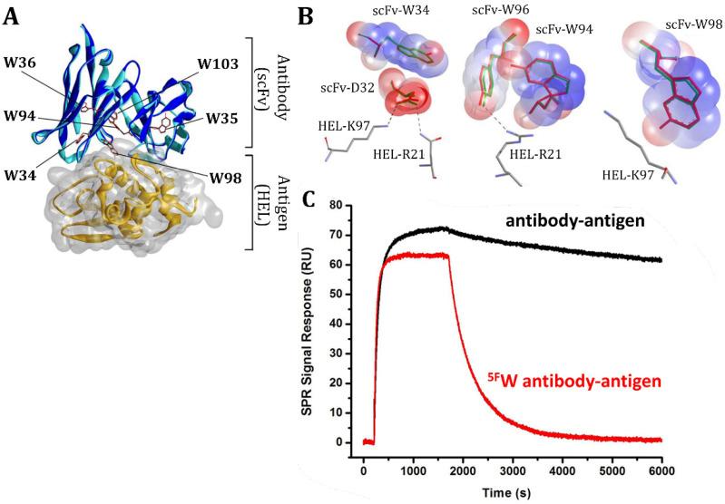 https://cdn.ncbi.nlm.nih.gov/pmc/blobs/a7e2/9609677/2a898bfc0802/pharmaceuticals-15-01201-g014.jpg