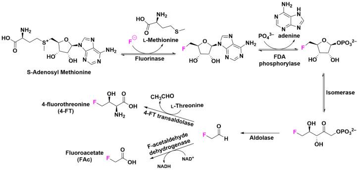 https://cdn.ncbi.nlm.nih.gov/pmc/blobs/a7e2/9609677/4b9141f09e1c/pharmaceuticals-15-01201-g003.jpg