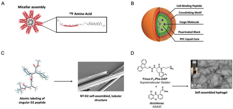 https://cdn.ncbi.nlm.nih.gov/pmc/blobs/a7e2/9609677/78aeb48d3ea3/pharmaceuticals-15-01201-g015.jpg