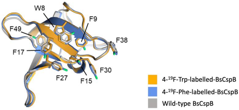 https://cdn.ncbi.nlm.nih.gov/pmc/blobs/a7e2/9609677/9579891cfcf3/pharmaceuticals-15-01201-g010.jpg