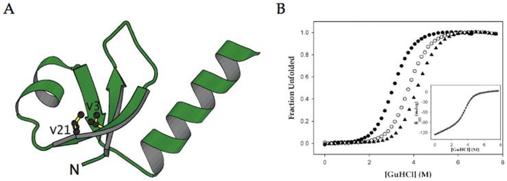 https://cdn.ncbi.nlm.nih.gov/pmc/blobs/a7e2/9609677/a139a8b52dcc/pharmaceuticals-15-01201-g006.jpg
