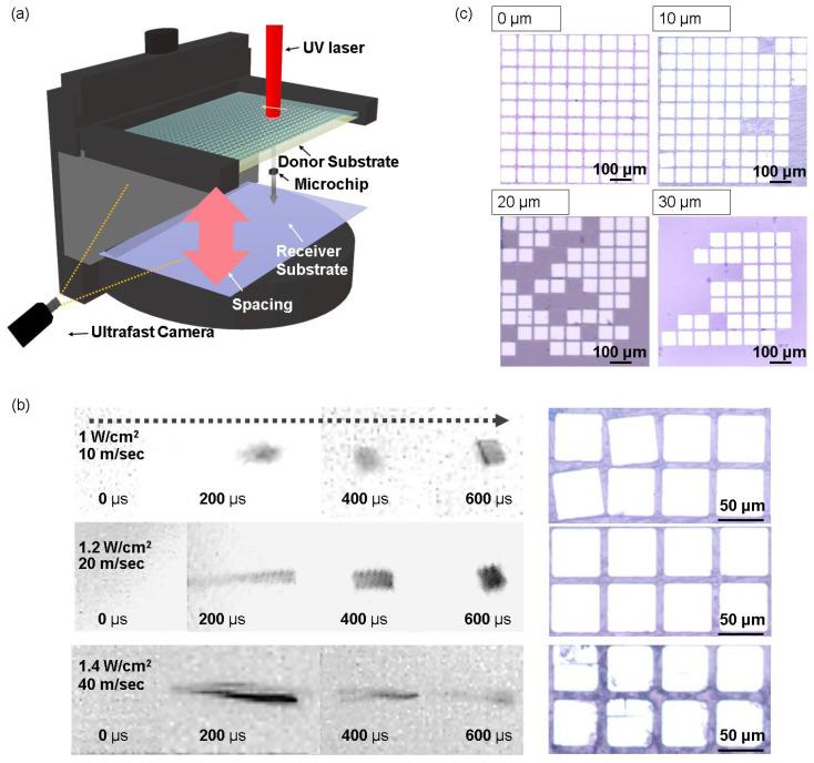 https://cdn.ncbi.nlm.nih.gov/pmc/blobs/a7e3/11643012/3f15ee21c415/nanomaterials-14-01926-g003.jpg
