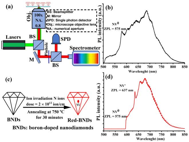 https://cdn.ncbi.nlm.nih.gov/pmc/blobs/a7e3/8874591/8d0a643090ea/nanomaterials-12-00601-g002.jpg