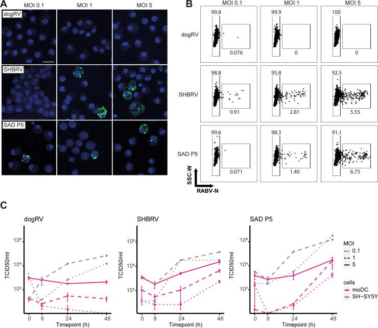https://cdn.ncbi.nlm.nih.gov/pmc/blobs/a7e8/12017532/78eebd23b762/pntd.0012994.g001.jpg