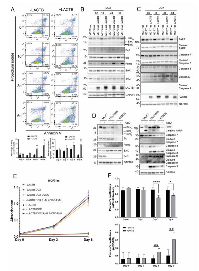 https://cdn.ncbi.nlm.nih.gov/pmc/blobs/a7e8/9950249/496d5296958a/10495_2022_1775_Fig2_HTML.jpg