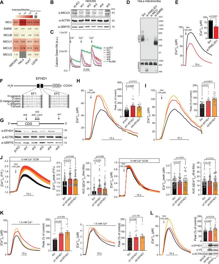 https://cdn.ncbi.nlm.nih.gov/pmc/blobs/a7ea/11535509/62ae20f6b670/44318_2024_219_Fig4_HTML.jpg